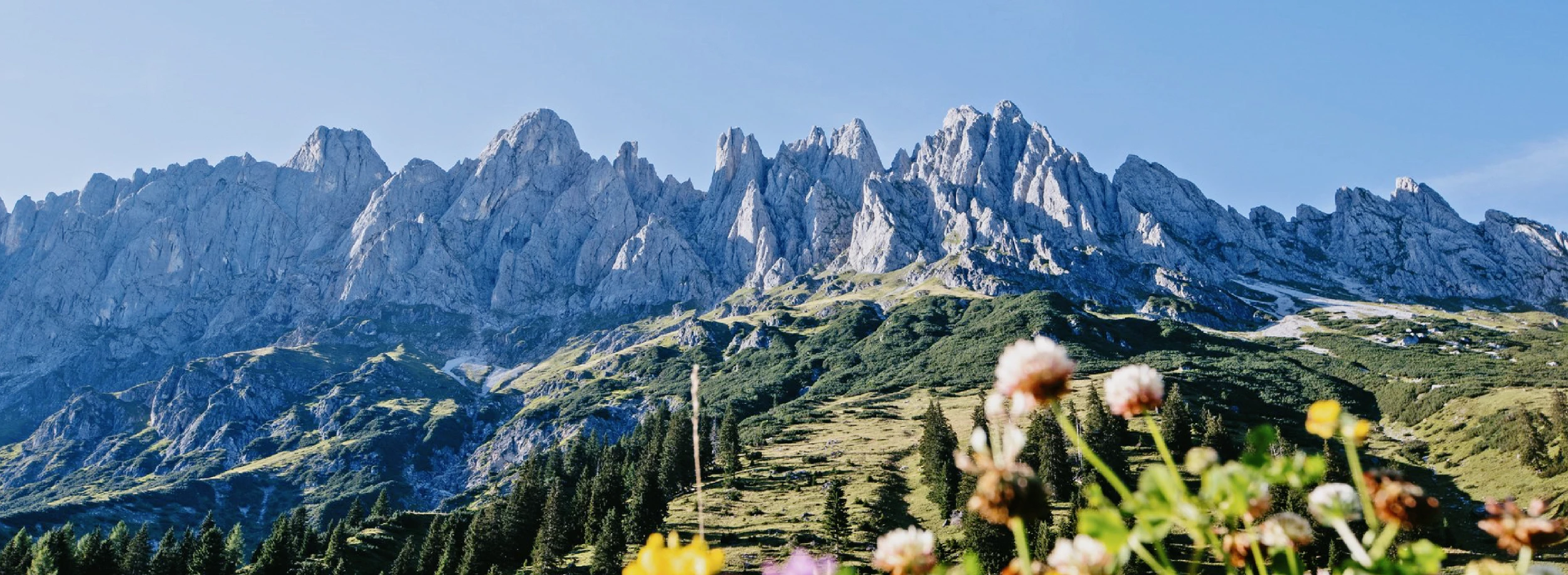 Ferienwohnungen in Wagrain - Haus Gumpold 2
