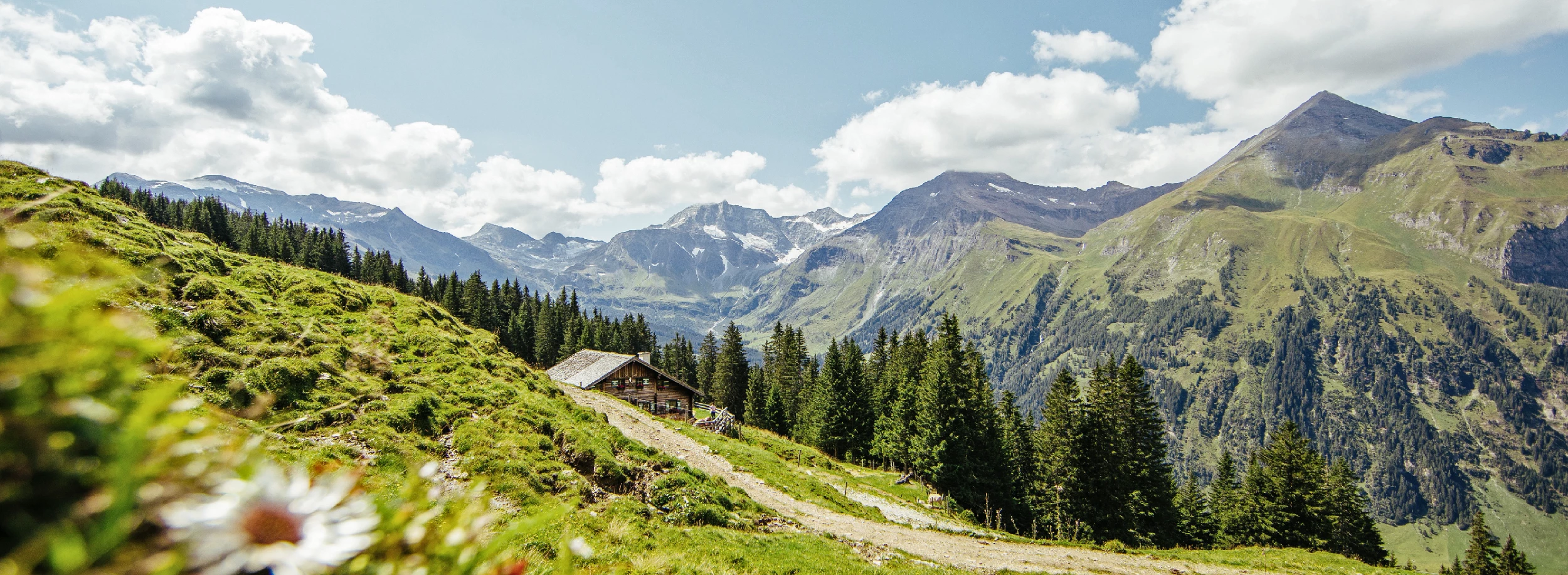 Ferienwohnungen in Wagrain - Haus Gumpold 2